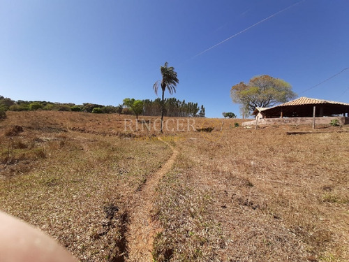 Imagem 28 de 30 de Temporada Em Ibiraci - Mg - Ot0006_rncr