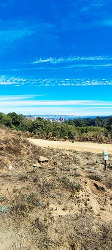 Excelente Terreno Con Vista Al Mar En Los Pinos, Reñaca