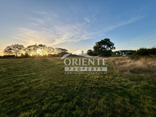 Osorno, Camino Puerto Octay Junto A Carretera