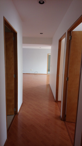 Imagen 3 de 14 de Residencial Terre, Depto. En Renta, Buena Iluminación 148 M2