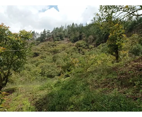 Lote En Venta Proyecto De Parcelación En El Retiro, Vía Pantanillo