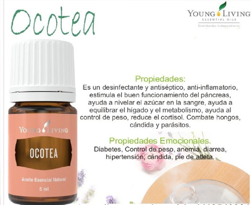 Aceite Esencial Ocotea Young Living De 5 Ml + Regalo