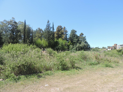 Terreno En Venta En Villa Santa Cruz Del Lago