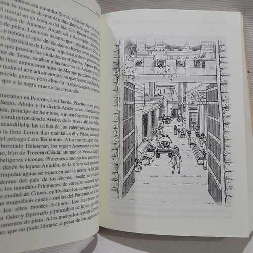Imagen 5 de 8 de La Iliada Homero Blumenfeld Ilust. Longseller Tapa Dura