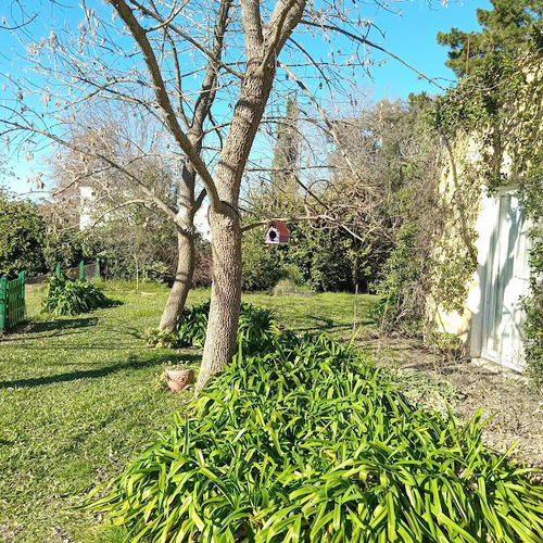 Casa En Alquiler 5 Ambientes En Chacras De Murray, Pilar