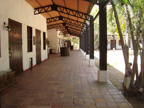 Imagen 10 de 13 de Vendo Finca 2.680.000 M2 El Consejo