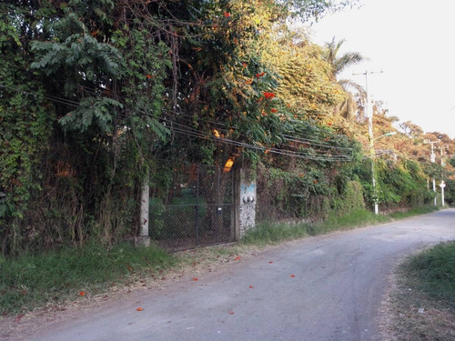 Imagen 9 de 17 de Terreno En Venta En Emiliano Zapata, Cuernavaca, Morelos