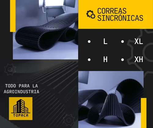 Correa Sincronica L Xl H Xh