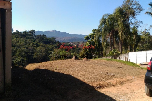 Imagem 6 de 9 de Chacara - Ch00118 - 69308403