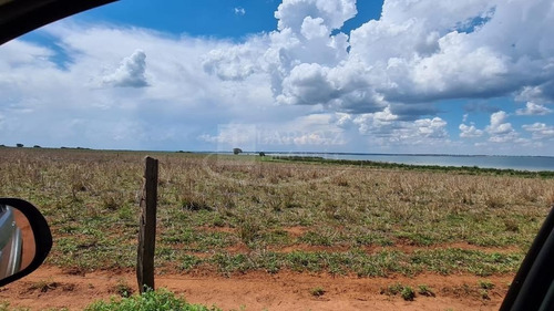 Fazenda Para Venda No Município De Ilha Solteira-sp, Com 165 Alqueires Em Pastagem, Podendo Plantar 160 Alqueires, 7 Km De Margem Rio Parana - Fa00101 - 69268791