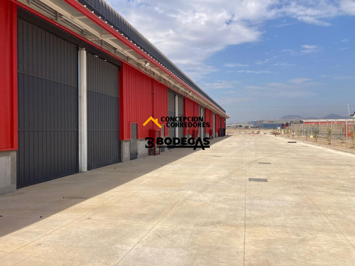 Arriendo Bodega Nueva De 400 M2 En Lo Espejo Con Ruta 5.