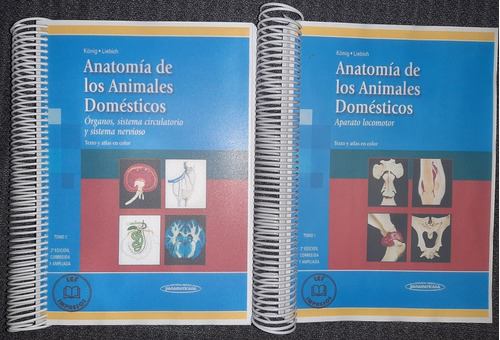 Anatomia De Los Animales Domesticos 