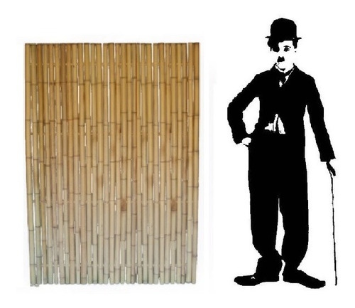 Cañas. Bambu Tacuara Pergola Cerco Mejor Precio 0.8 X 1metro (Usado)