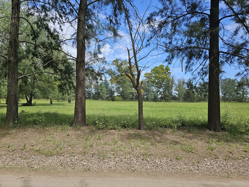 Terreno En Venta En Altos De Mercedes