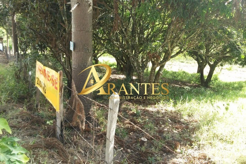 Imagem 7 de 8 de Terreno - Te00056 - 70572664