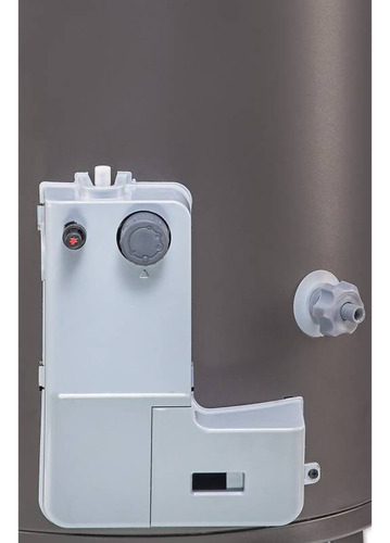 Termotanque Escorial Multigas Geiser 120LTS Color Grafito