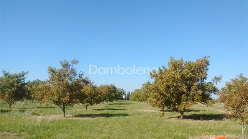 Imagen 25 de 25 de Terreno En Venta O Permuta Ubicado En Punta Indio, Resto De La Provincia