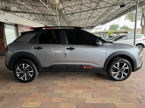 C4 Cactus Shine