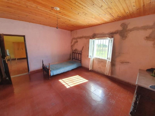 Imagen 29 de 30 de Molino Doll, Campo De 9 Hectáreas Con Casa, Sobre Ruta Y Con Costa De Arroyo