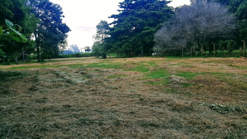 Chacara 5000m2 Casa Sede 200m2 3 Dorms 1 Suíte 3 Banheiros - Ch00018 - 34932686