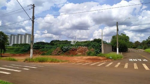 Imagem 8 de 13 de Terreno À Venda Em Residencial Dona Margarida - Te006011