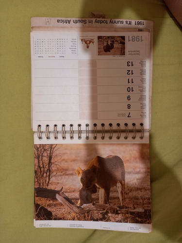 Calendario 1981 Sudáfrica (Usado)