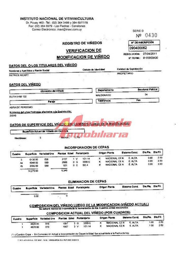 Imagen 8 de 20 de Venta De Chacra En Punta Del Este
