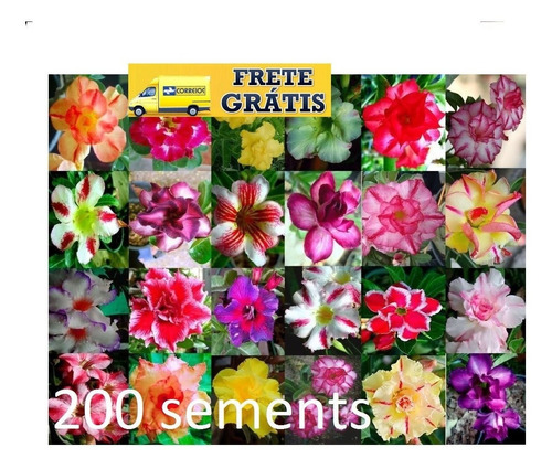 200 Sementes De Rosa Do Deserto(adenium Obesum)mix De Cores,