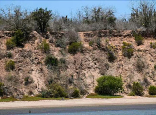 Sinaloa Isla De Tachichitle Terreno Venta Angostura