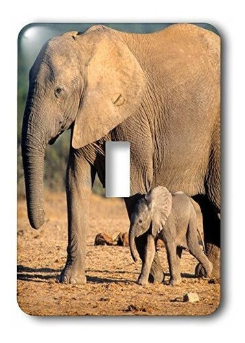 Danita Delimont  elefantes  un Elefante Africano Madre Y T