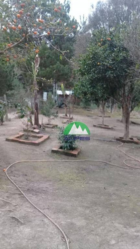 Imagem 6 de 24 de Chácara À Venda, 3860 M² Por R$ 185.000,00 - Vilarejo Taboão - Agudos Do Sul/pr - Ch0024