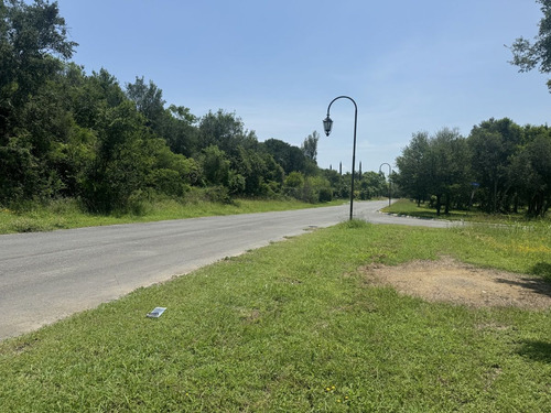 Terreno En Venta San Mateo Juarez Nl