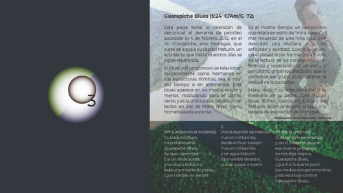 Imagen 8 de 9 de Guarapiche Blues Ozono Jazz + María Rivas - Música Ecológica