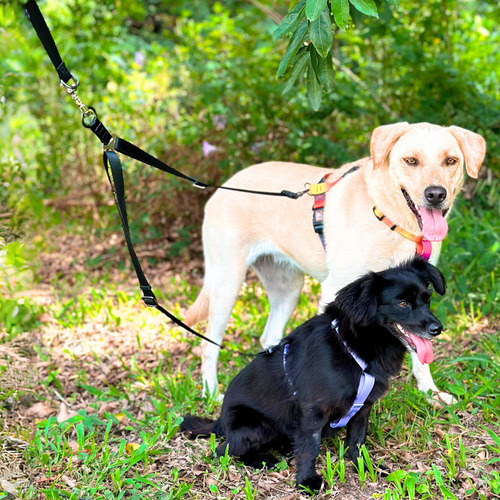 Guia Dupla Para Cachorros Pequenos E Grandes Resistente Cor Preto M