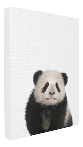 Stupell Home Decor Baby Panda Studio - Lienzo Decorativo Par