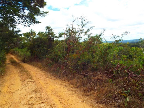 Oportunidade Terreno - 2148