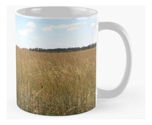 Taza Paisaje De Campo Calidad Premium