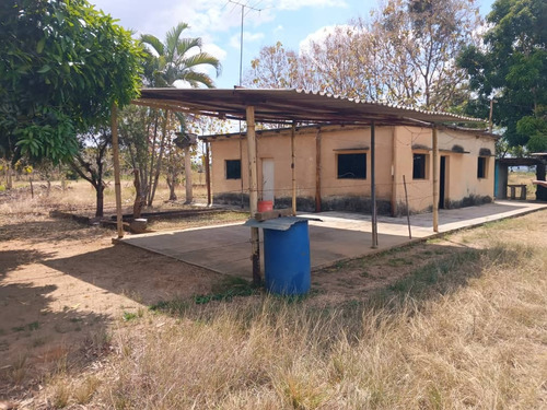 Global Ofrece En Venta Finca En Tinaquillo.edo Cojedes