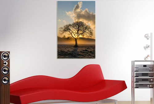 Vinilo Decorativo 60x90cm Paisajes Mundo Natural Fauna M5