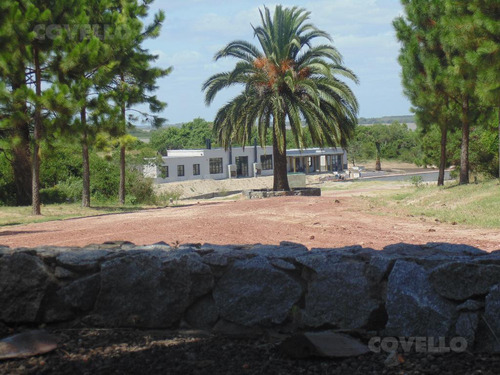 Medanos De Punta Gorda