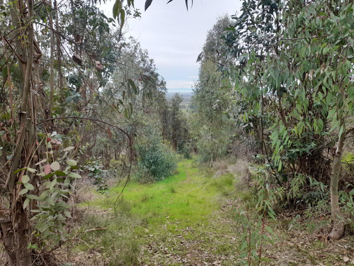 Terreno En San Carlos.