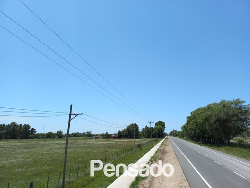 Imagen 4 de 18 de En Venta 1 Hectarea Con Servicios