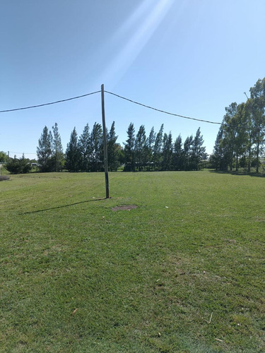 Casa Quinta Venta La Plata Ruta 2 Jardin Galería Parrilla Pileta Lote 3700 Mts Galpón