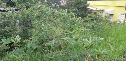 Imagem 8 de 12 de Lote Para Venda Em Ribeirão Das Neves, Vale Das Acácias - L31_1-2237230