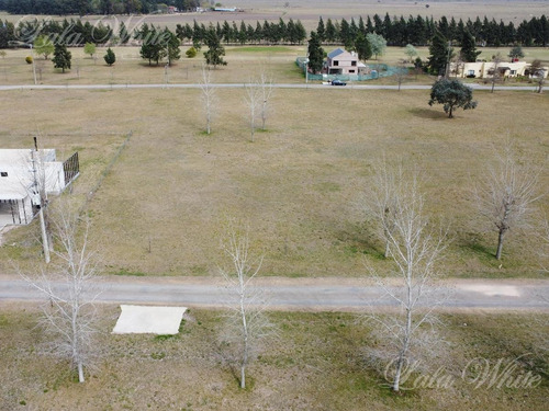 Imagen 4 de 14 de Venta - Lote En Fincas De San Vicente Golf