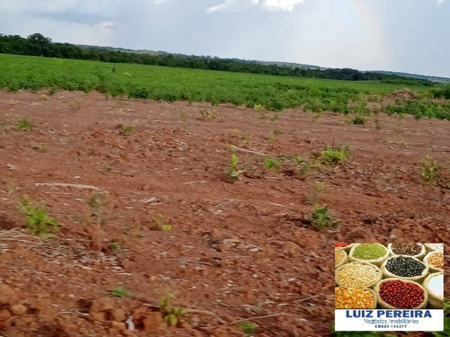 Imagem 13 de 15 de Fazenda À Venda Em Peixe - To - De 213 Alqueirões (agricultura) - 1700