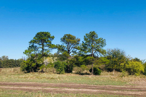 Preventa, Nuevo Barrio Privado, Del Viso