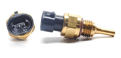 Sensor Refrigerante Cts 2500 6cil 6.7l 11-18 8177084