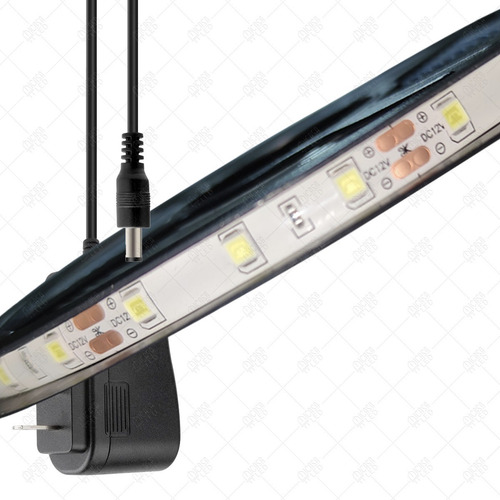 Imagen 1 de 6 de Tira Led Interior 12v 5m Recortable Con Eliminador