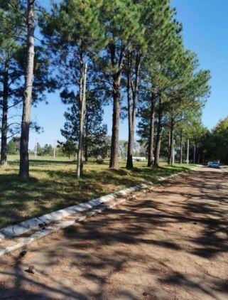 Imagen 18 de 18 de Terreno - Nueva Zelaya